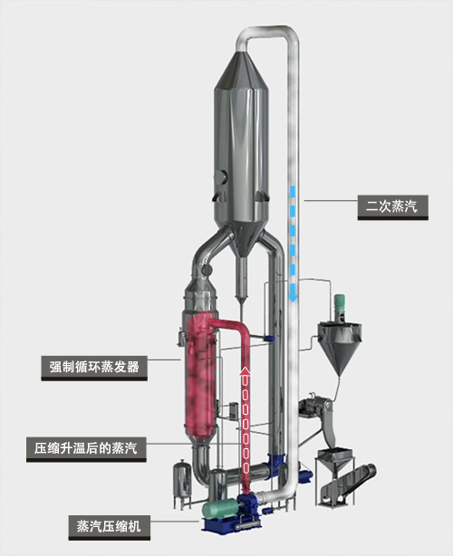 MVR Crystallizer Steam Flow Diagram